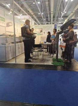 Көрме көрмесі