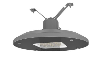 барлығы бір бақшада-жарық